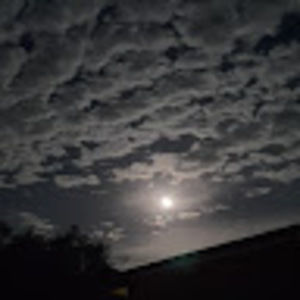 Meet your Posher, Stacey